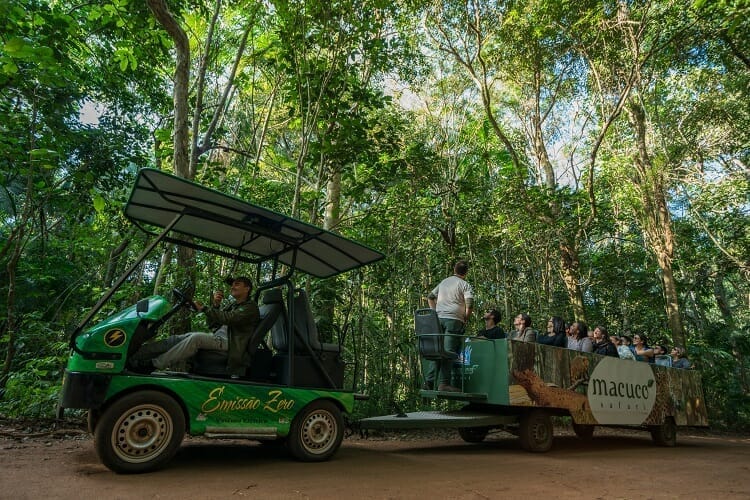 passeio de trem pelo parque