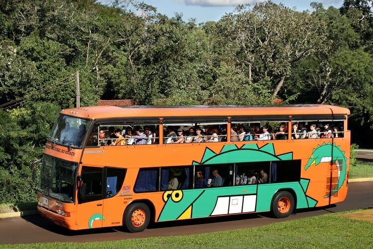 Ônibus macuco safari