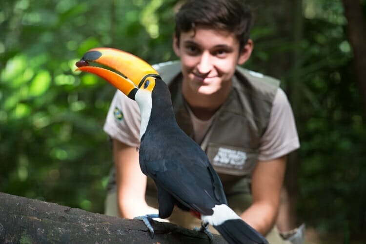 Parque das Aves em Foz do Iguaçu