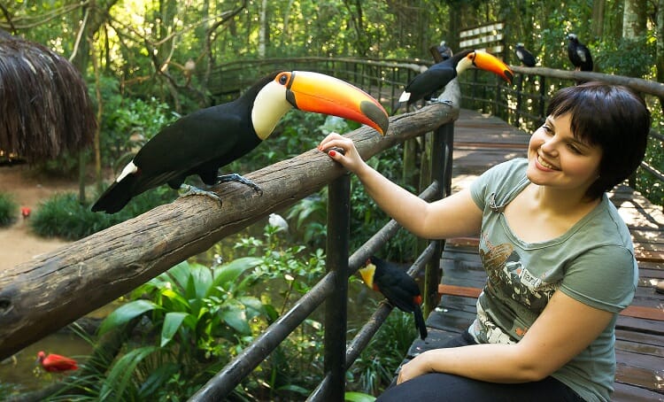 Parque das Aves - Pontos Turísticos em Foz do Iguaçu reabrirão