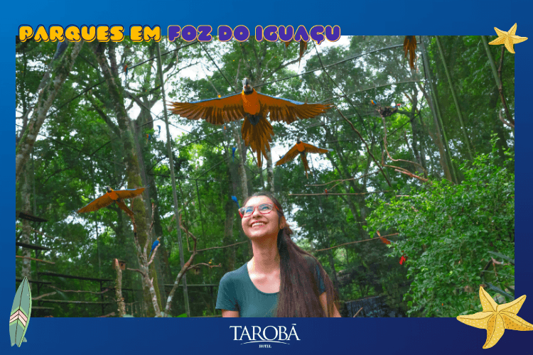Viveiro das Araras - Parque das Aves