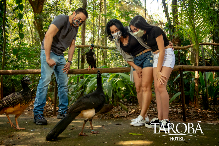 Família observando as aves. 20 Curiosidades sobre o Parque das Aves que você tem que saber!