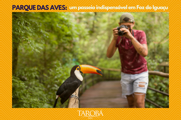 Visita ao Parque das Aves | Parque das Aves | Um passeio indispensável em Foz do Iguaçu