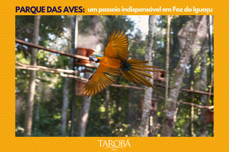 Arara - Parque das Aves | Parque das Aves | Um passeio indispensável em Foz do Iguaçu
