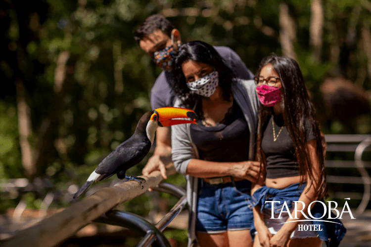 Família no Parque das Aves. Parque das Aves em Foz do Iguaçu (Guia 2020) Hotel Tarobá