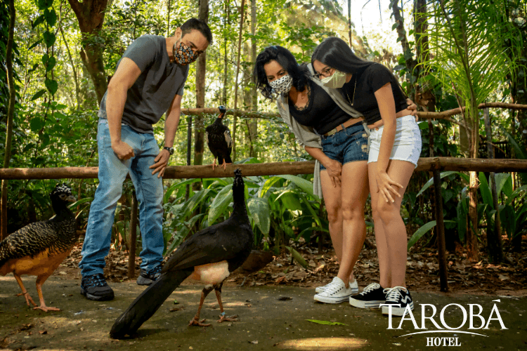Família no Parque das Aves. Parque das Aves em Foz do Iguaçu (Guia 2020) Hotel Tarobá.
