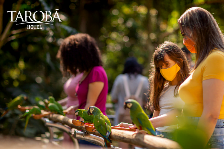 Família alimentando periquitos. Parque das Aves em Foz do Iguaçu quebrou seu recorde de visitações!