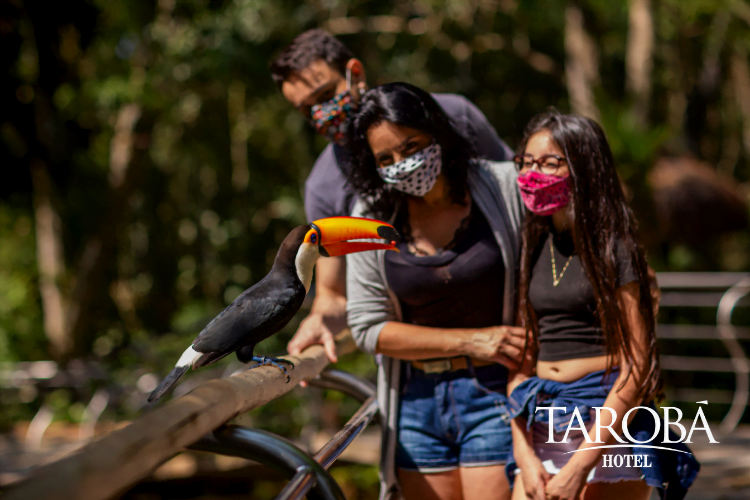 Família vendo um tucano. Parque das Aves bate recorde de visitação em Janeiro