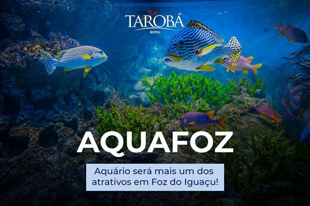 Aquafoz será o mais novo atrativo em Foz do Iguaçu