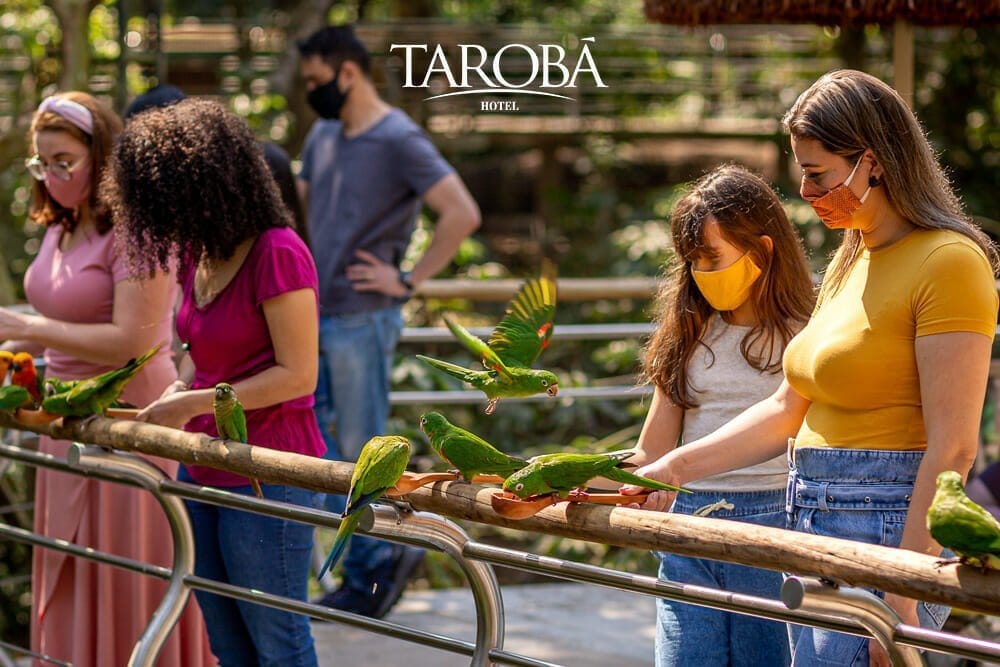 Parque das Aves, o local ideal para visitar com as crianças