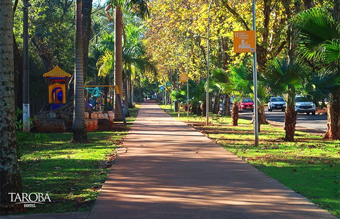 Pista na avenida Paraná no centro de Foz do Iguaçu
