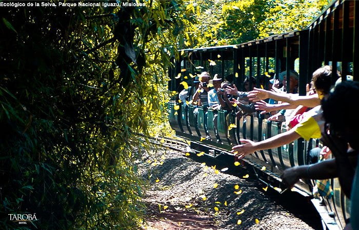 Trem do parque nacional iguazú
