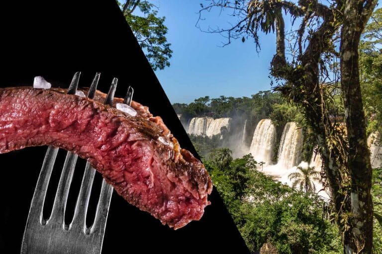 o que fazer em Puerto Iguazu