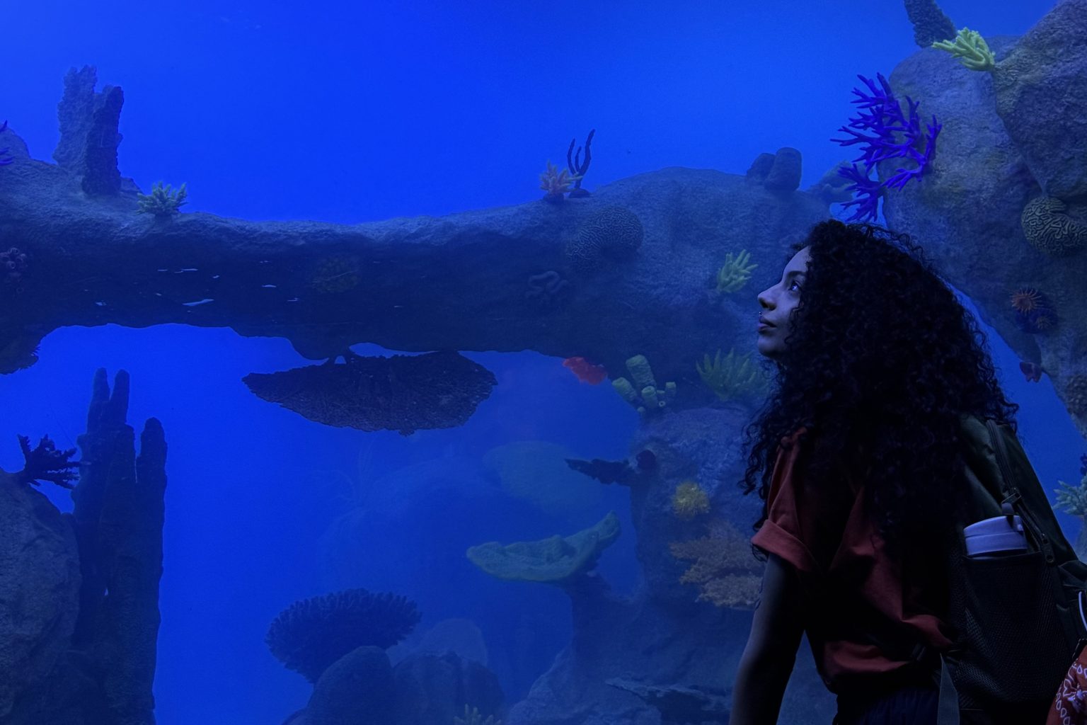 Aquario em foz do iguaçu