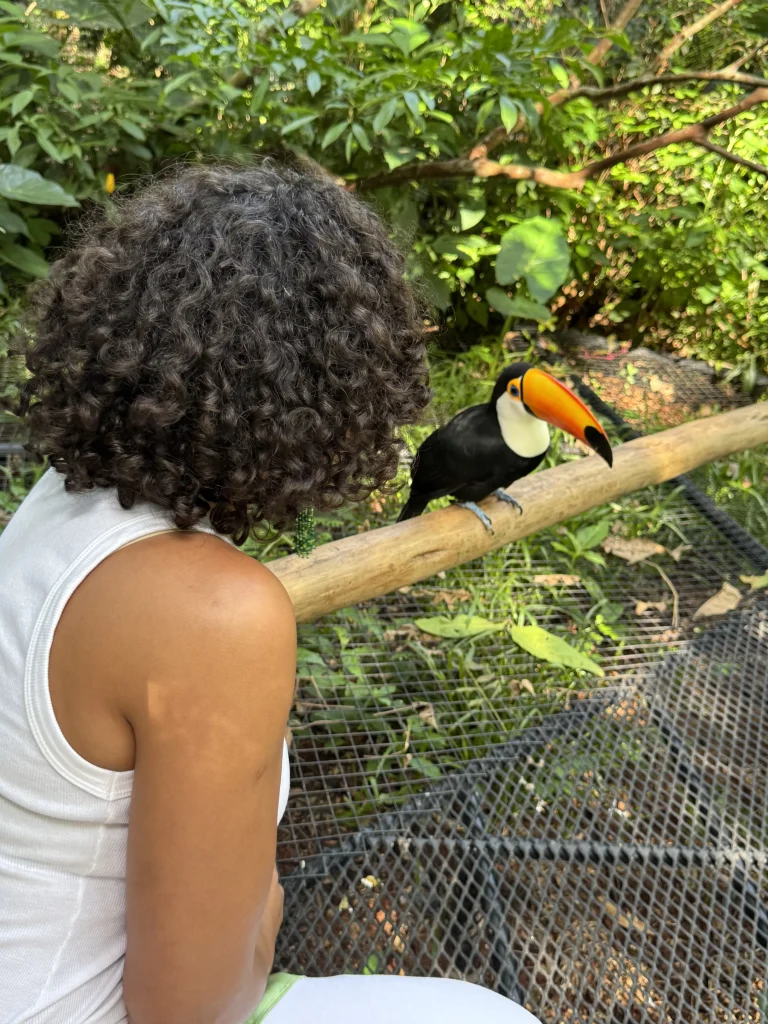 Parque das aves em foz do iguaçu